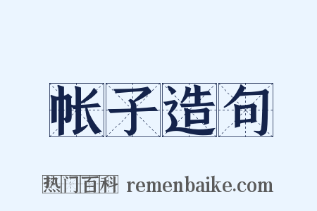 帐子造句是什么意思的图片